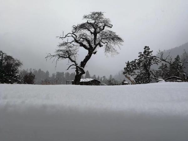 逃出安逸小乡村